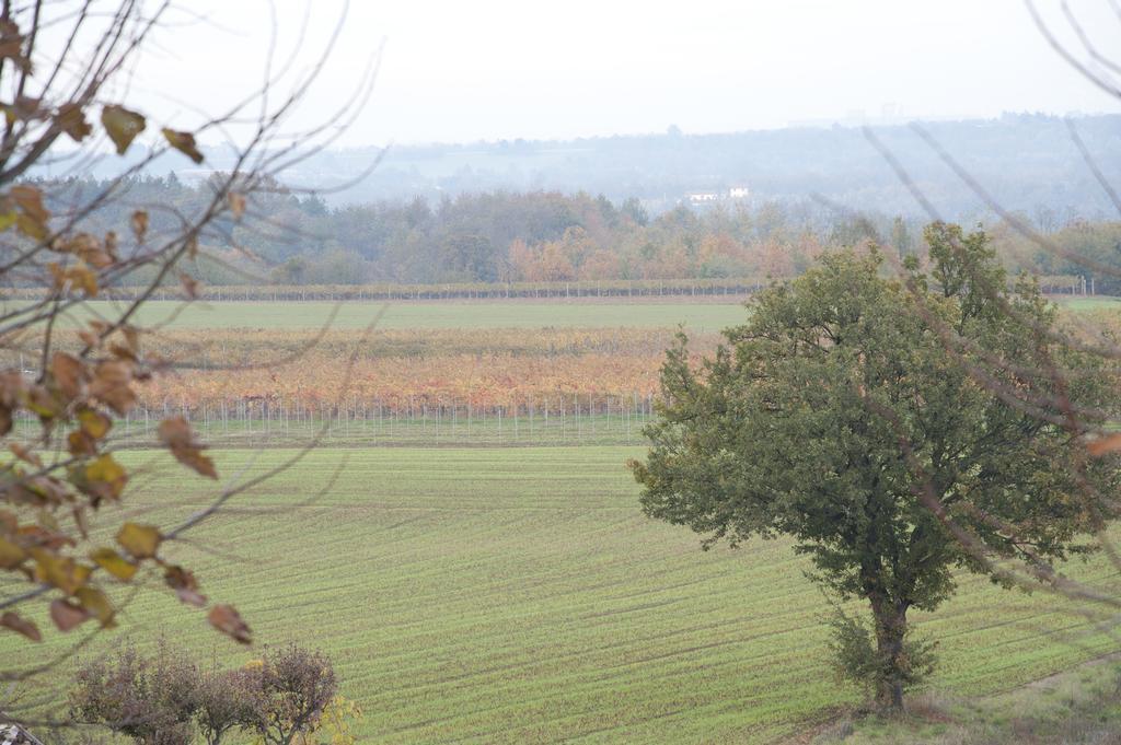 Agriturismo Il Vecchio Portico Francavilla Bisio Екстер'єр фото